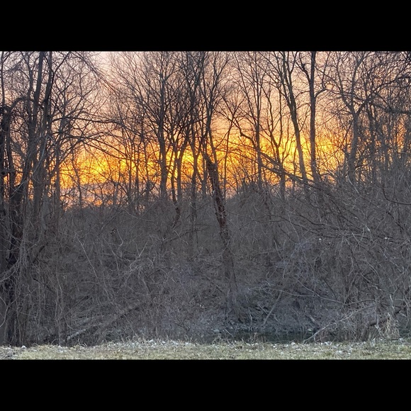 Meet your Posher, Debbie - Picture 4 of 6